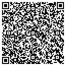 QR code with Public Storage contacts