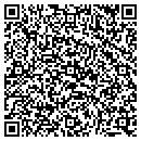 QR code with Public Storage contacts