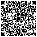QR code with Public Storage contacts