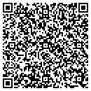 QR code with Public Storage contacts