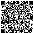 QR code with B Fit contacts