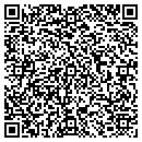 QR code with Precision Miniatures contacts