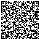 QR code with Puzzles N Things contacts