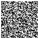 QR code with Public Storage contacts
