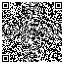 QR code with Public Storage contacts