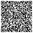 QR code with Pro Clean Solutions contacts