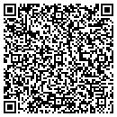 QR code with Punch Fitness contacts