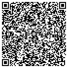 QR code with Publix Super Markets Inc contacts