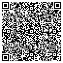 QR code with Public Storage contacts