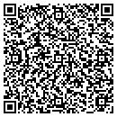 QR code with Back Alley Bikes LLC contacts