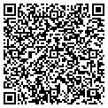 QR code with Gotham contacts