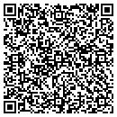 QR code with Bald Knob Bait Shop contacts