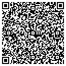 QR code with Precision Hobbies contacts