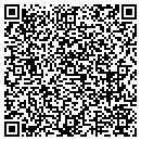 QR code with Pro Electronics Inc contacts