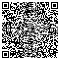 QR code with Midas contacts