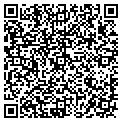 QR code with TMS Auto contacts