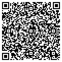 QR code with Ocular contacts