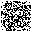 QR code with Pulse Audio Video contacts