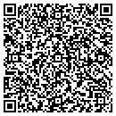 QR code with Blue Ridge Global Inc contacts