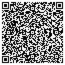 QR code with Prairie Pots contacts