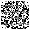 QR code with Puzzlebox Enterprises contacts