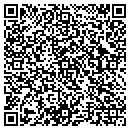 QR code with Blue Pool Solutions contacts
