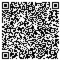 QR code with Msa Pc contacts