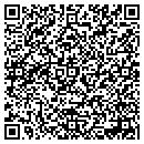QR code with Carpet Palace 1 contacts