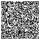 QR code with Prevail Online Inc contacts