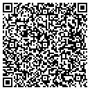 QR code with Professional Audio contacts
