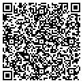 QR code with Cygamz contacts