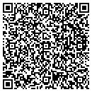 QR code with Cubic Defense Systems contacts