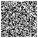 QR code with Progress Telecom LLC contacts