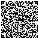QR code with Carpet Workshop LLC contacts