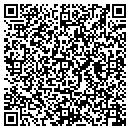 QR code with Premier Electronic Systems contacts