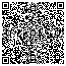 QR code with Pure Electronics Inc contacts