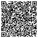 QR code with Action contacts