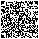 QR code with Precise Incorporated contacts