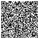 QR code with Bristolite Excavating contacts