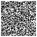 QR code with Carpet Technologies contacts