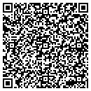 QR code with Carpet Guys Inc contacts