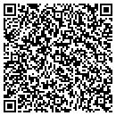 QR code with Public Storage contacts