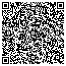 QR code with Public Storage contacts