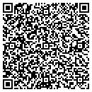 QR code with Clinic Nenana Native contacts