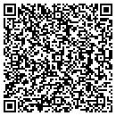 QR code with Puzzles Plus contacts
