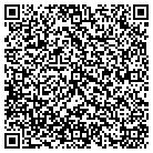 QR code with Pulau Electronics Corp contacts