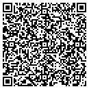 QR code with Pyramid Sound Corp contacts