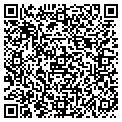 QR code with Blr Development Inc contacts