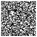 QR code with Premier Foam contacts