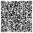 QR code with Carpet Installation contacts